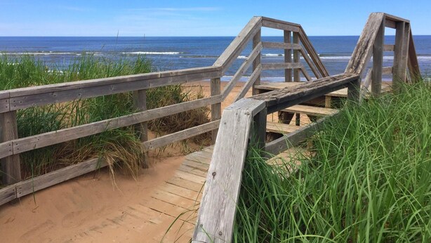 Une promenade en bois qui mène à une plage d’où l’on a une vue dégagée sur l’océan.