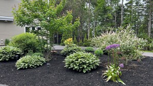 Un jardin aménagé avec différents arbustes et fleurs, un sentier et un bâtiment en arrière-plan.