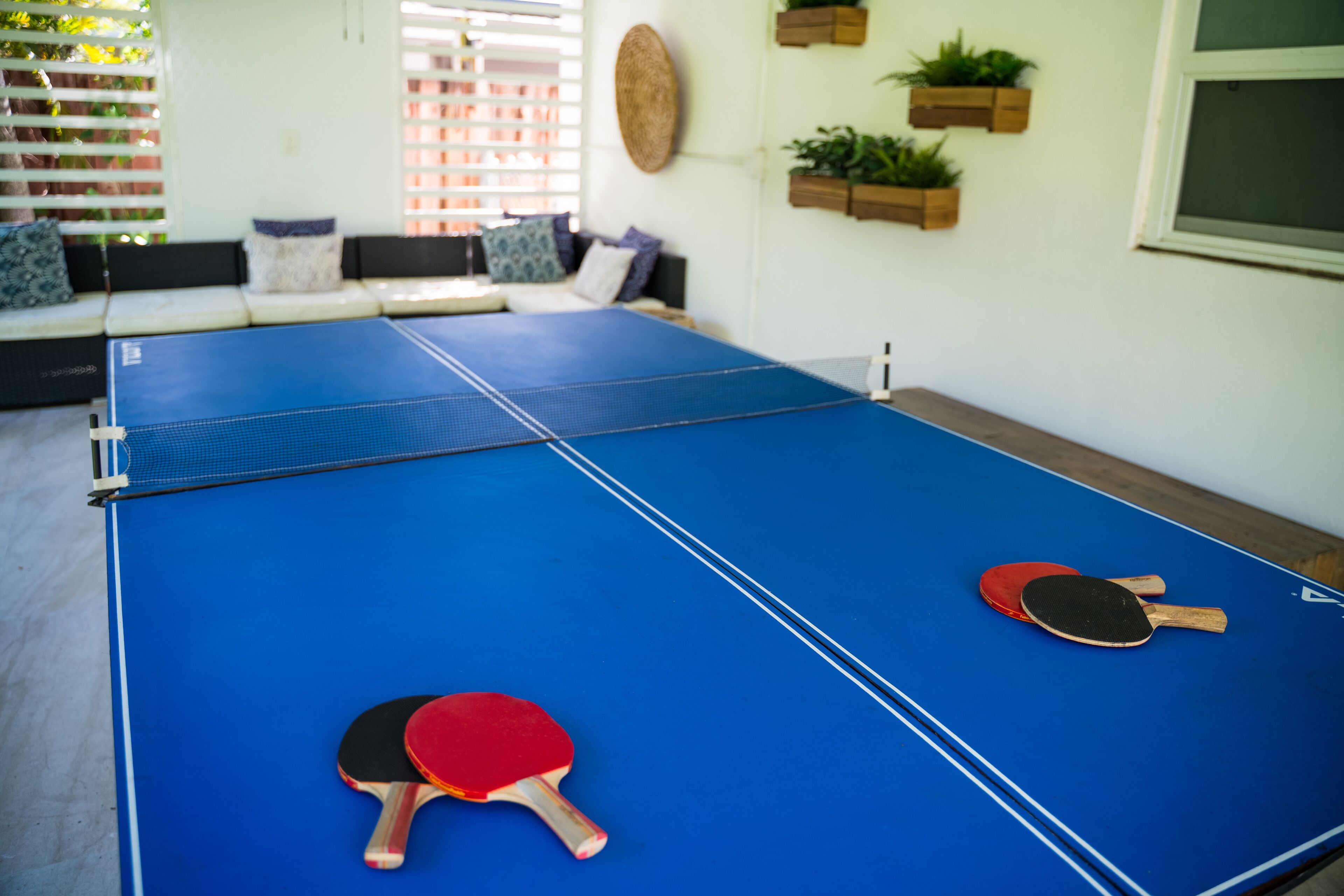 A ping pong table with two paddles in a room with a sofa, cushions, and wall-mounted planters.