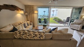 Smart TV, DVD player, books, stereo