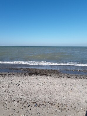 Plage à proximité, chaises longues, serviettes de plage