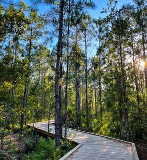 Hiking - Lake Nona Wave Hotel (Orlando)