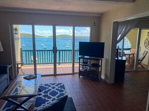 Smart TV, DVD player, books