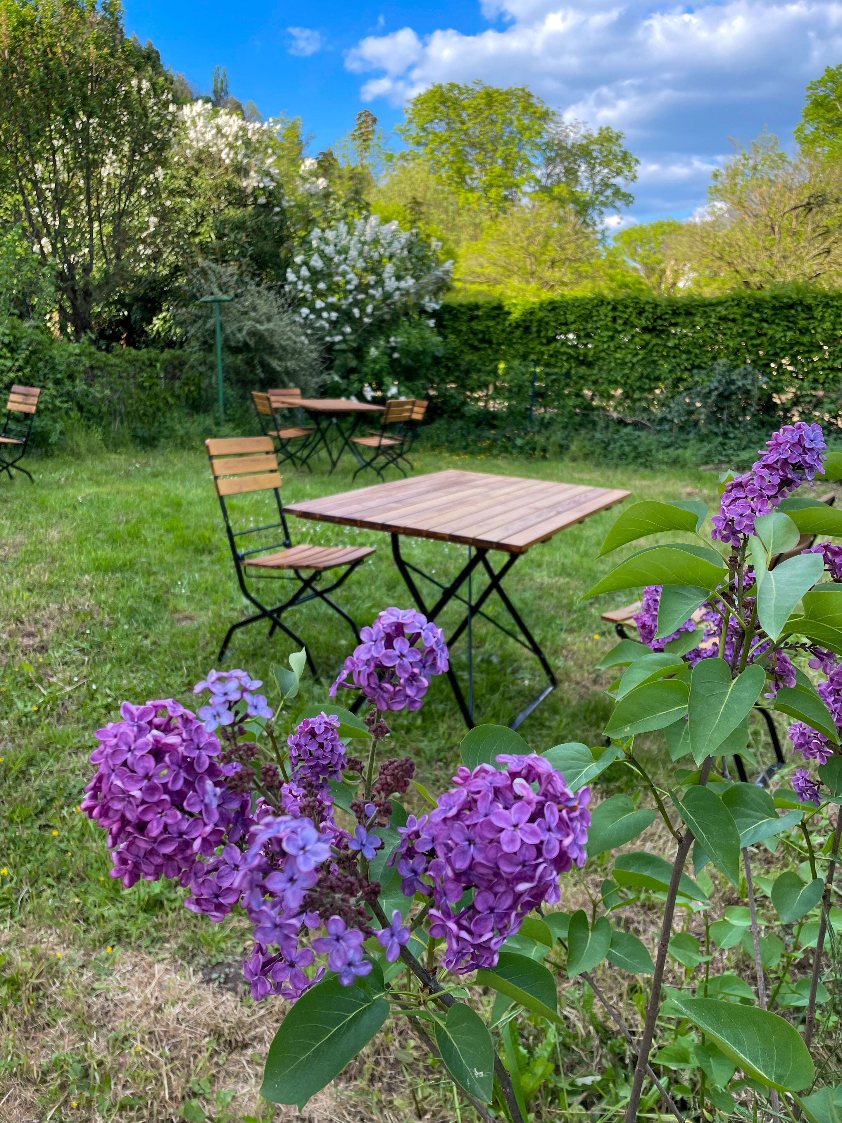 A garden with a wooden table and chairs, surrounded by greenery and purple flowers.