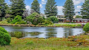 Une vue paisible sur un lac, avec un petit quai, une végétation luxuriante et une rangée de bâtiments en arrière-plan.