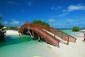 Una playa cerca