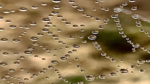 Un gros plan de gouttelettes d’eau sur une surface.