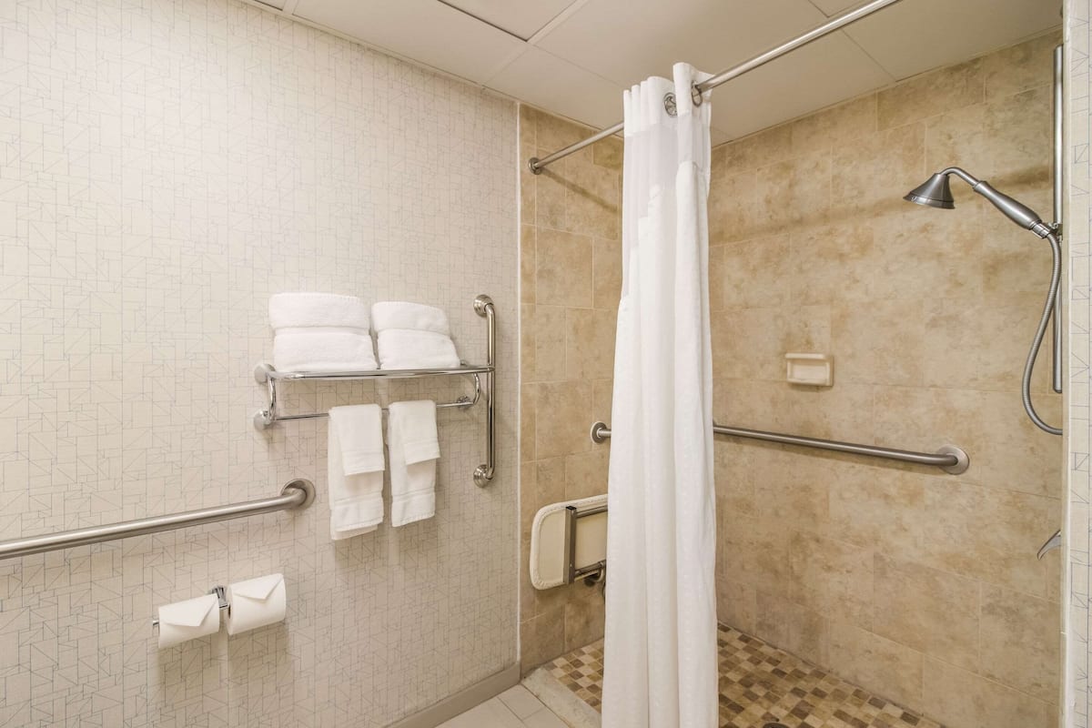 combined shower/bathtub, free toiletries, hair dryer, towels