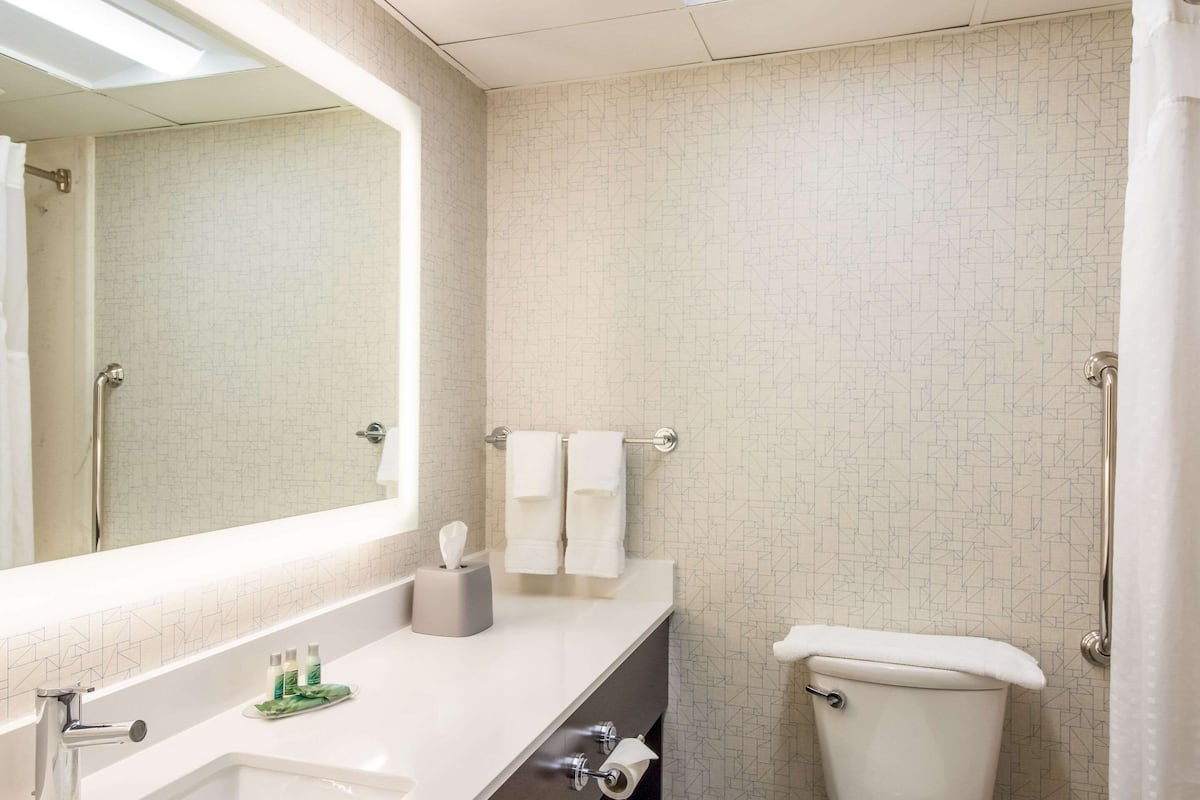 combined shower/bathtub, free toiletries, hair dryer, towels