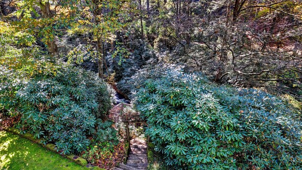 A stone pathway leading through a lush garden with dense foliage and a wooden archway. - Waterfall Bungalow: Quaint Cottage on Mill Creek w/ Deck | Walk to Downtown (Highlands)