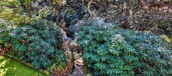 Waterfall Bungalow: Quaint Cottage on Mill Creek w/ Deck | Walk to Downtown