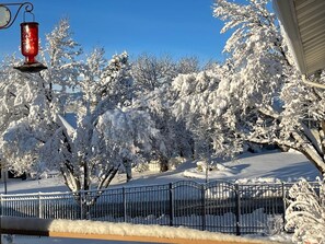 Paesaggio innevato con alberi e una recinzione in metallo.