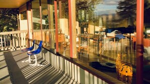 A modern building with large glass windows, a wooden deck with chairs, and a tiger statue.