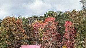 A cabin with a red roof and wooden structure, surrounded by a grassy area and trees with autumn foliage.