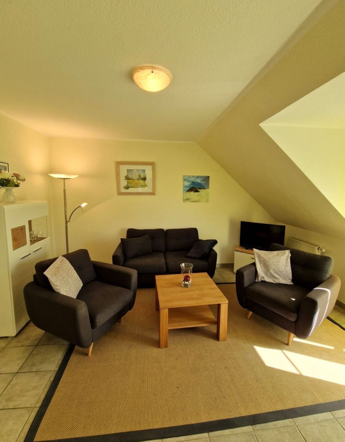 تلفزيون، مشغل دي في دي