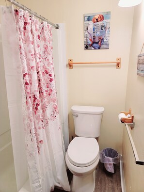 Combined shower/bathtub, hair dryer, towels, soap - Cozy Apt downtown Lansing next to Lugnuts Stadium (Lansing)