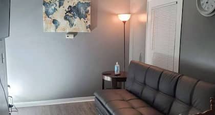 Cozy Apt downtown Lansing next to Lugnuts Stadium