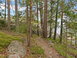 A forested area with a dirt path leading through trees. - Vacation home Ulappa by Interhome (Puumala)