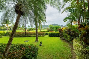 Property grounds - Del Mar 4O 2 bdr Garden View in Los Suenos (Playa Herradura)