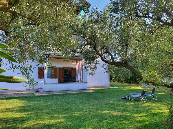 Relax on the serene balcony with a single chair, surrounded by lush greenery and olive trees.