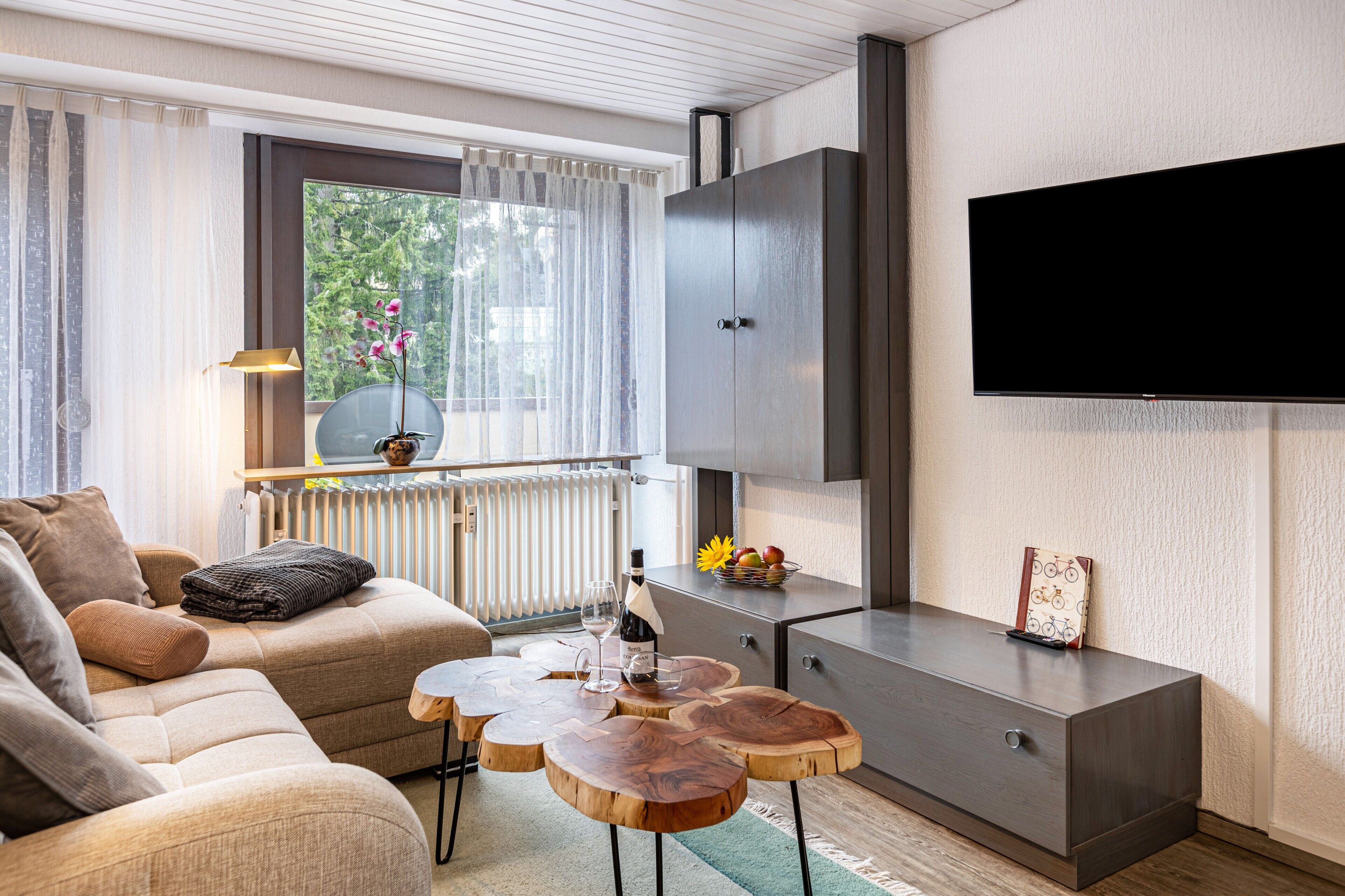 TV, DVD player, table tennis