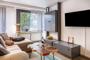 Televisión, reproductor de DVD, mesa de ping pong