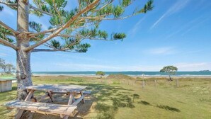 A picnic table under a pine tree by a beach with a clear sky. - One bedroom beachfront apartment (Yeppoon)