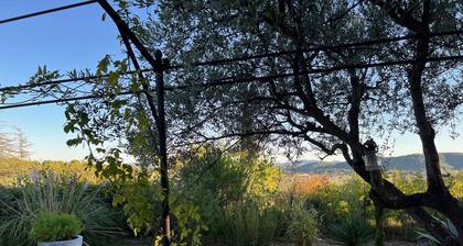 Ground floor with swimming pool and large terrace