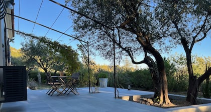 Ground floor with swimming pool and large terrace