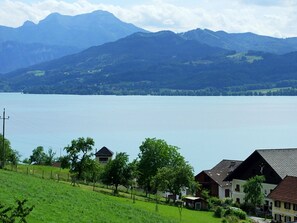 Uklassifisert bilde, 3 av 24, knapp