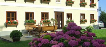 Ferienwohnung Jaga - Ferienwohnung
