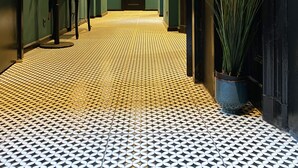 Un couloir avec un sol à motifs, une porte au fond et une plante en pot sur la droite.