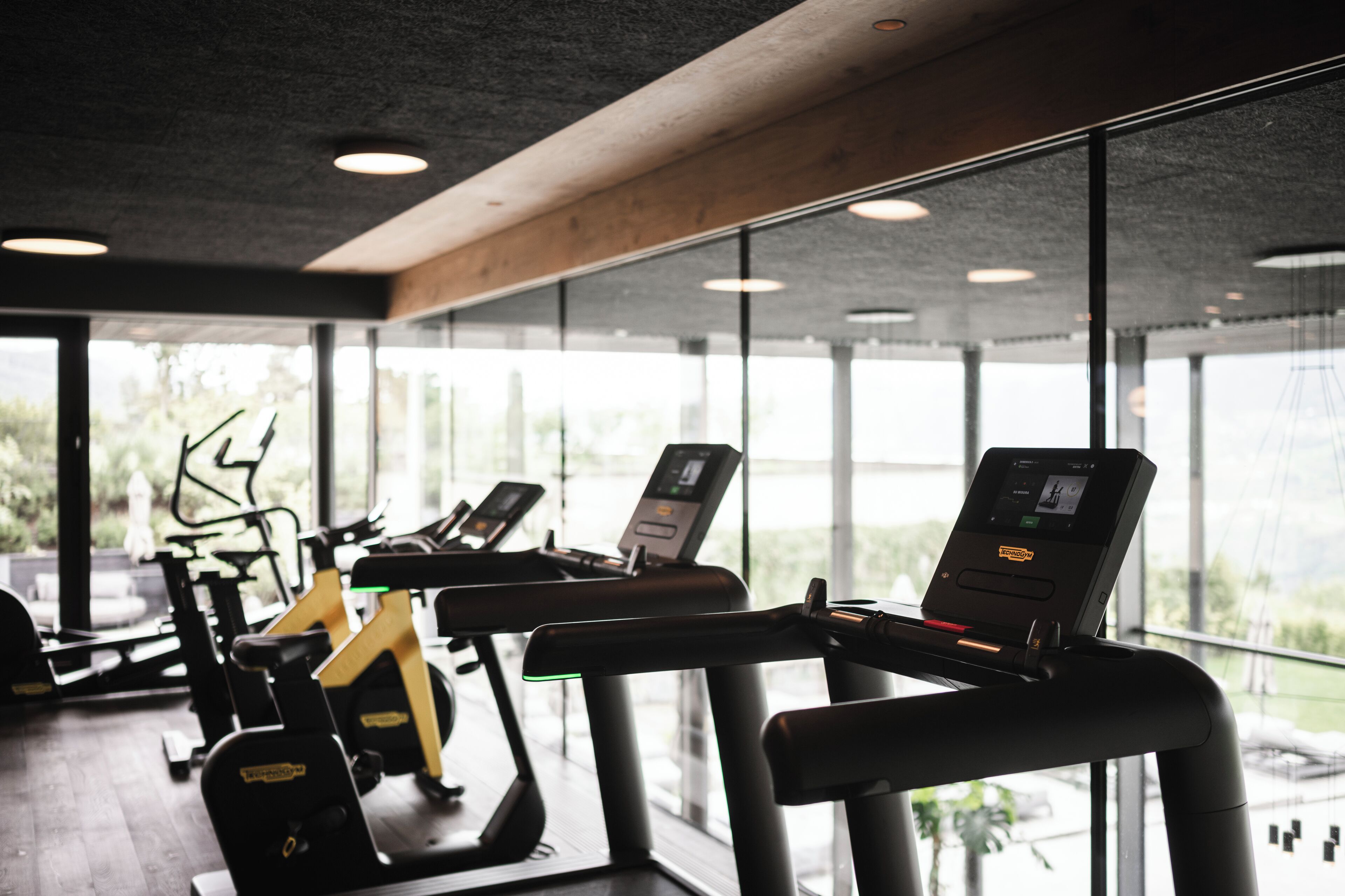 A gym with treadmills and exercise equipment, large windows, and a view of greenery outside.