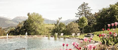 Zona de piscina con vistas a las montañas, rodeada de tulipanes rosados y follaje.