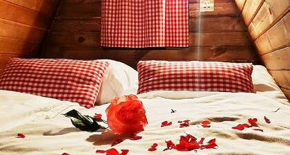 Cozy house is warm chalet- tiny house for a small family