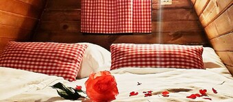 Cozy house is warm chalet- tiny house for a small family