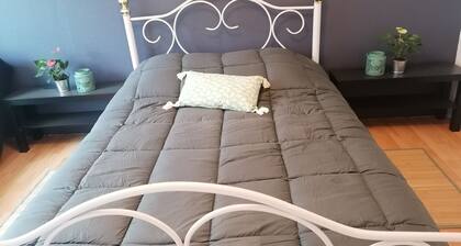 Gîte le parc Michel near Mont Saint Michel