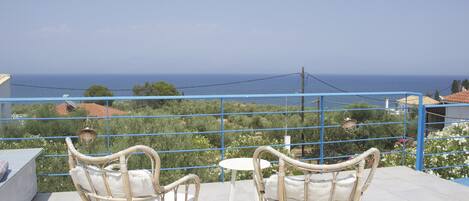 テラス / パティオ