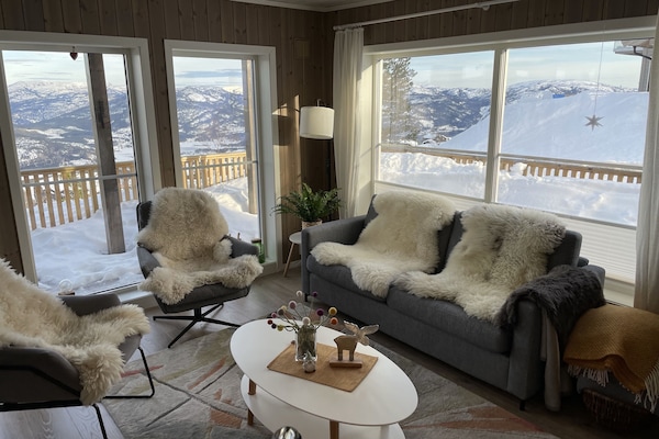 Smart-tv, eldstad, böcker och en stereo