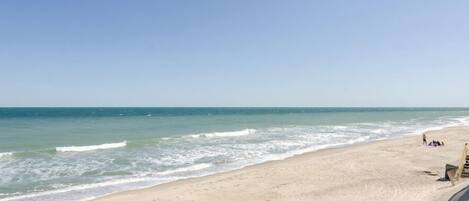 بالقرب من الشاطئ