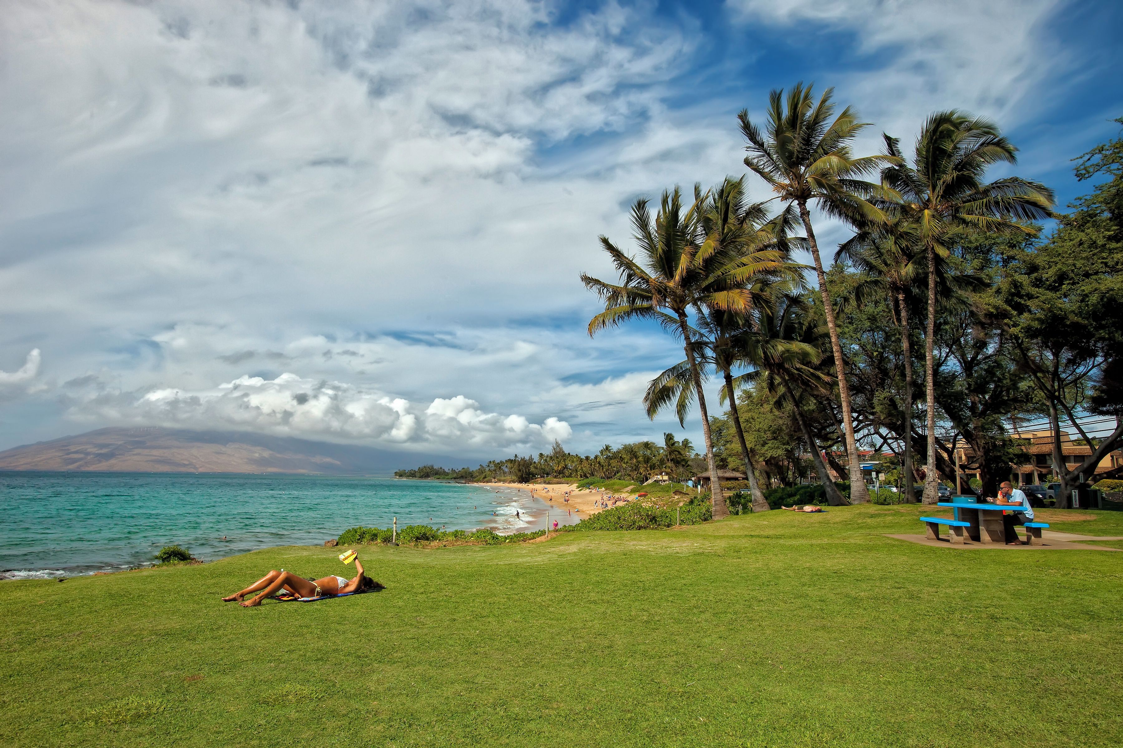 Un área con césped, una playa y palmeras al fondo.