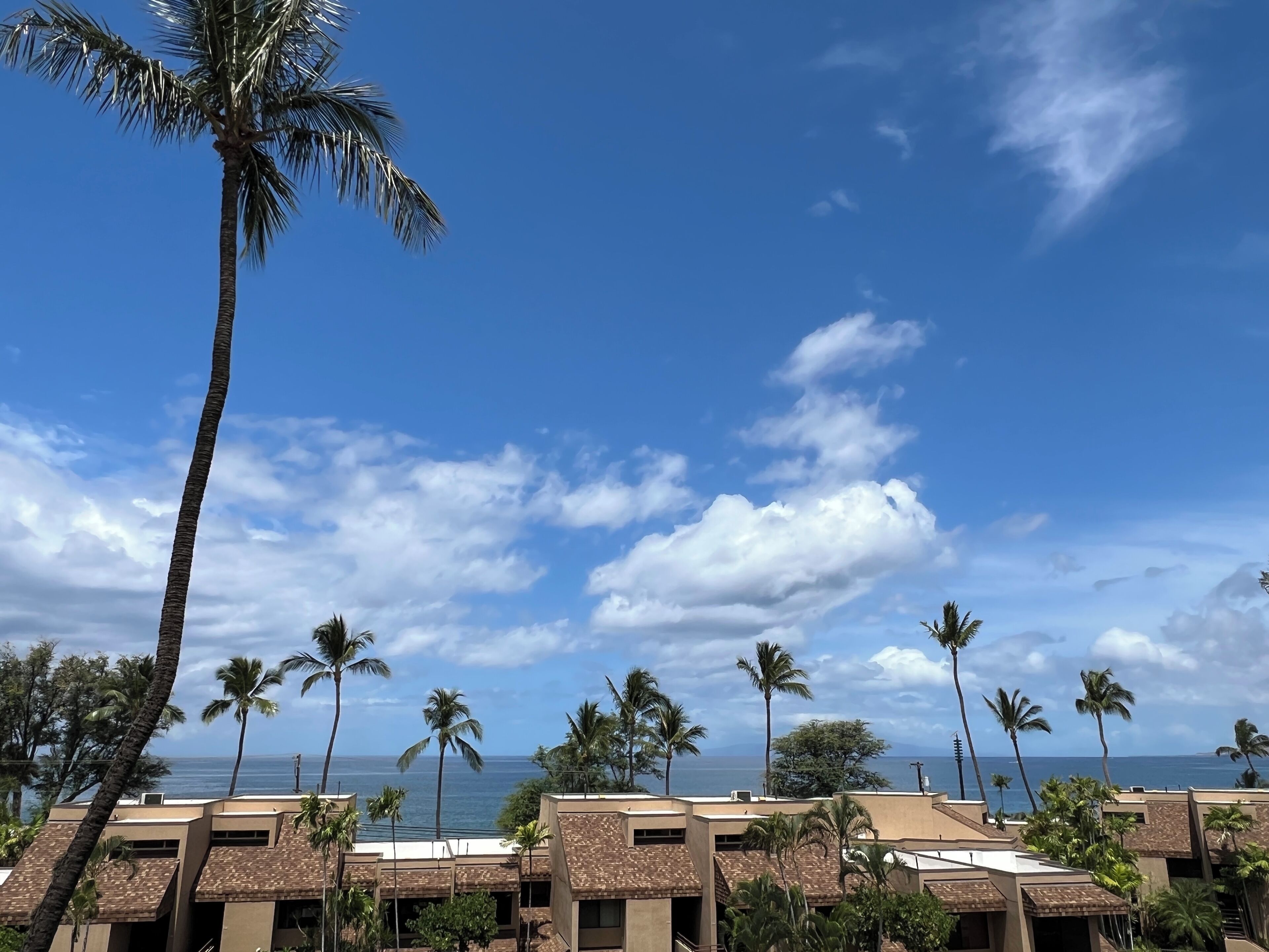 A hotel with multiple buildings, palm trees, and a view of the ocean.
