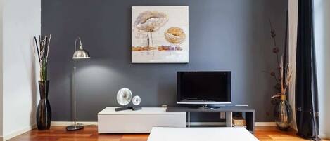 Fernseher, Arbeitsbereiche