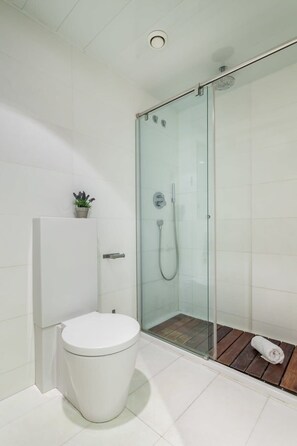 Shower, hair dryer, towels, shampoo