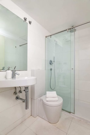 Shower, hair dryer, towels