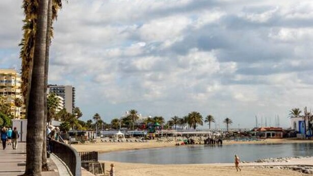 A beach with a palm tree, a sandy shore, and a few people. - Golden Mile Apartment 150 m. to the beach (Marbella)