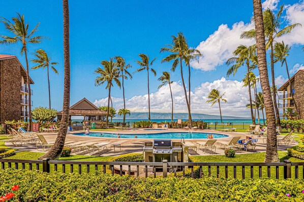 Condo, 1 habitación | Áreas de la propiedad