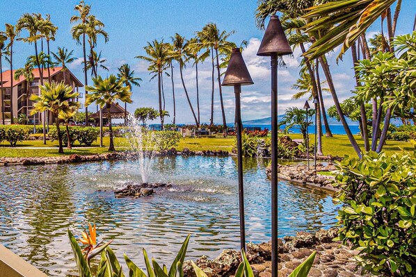 Condo, 1 habitación | Áreas de la propiedad