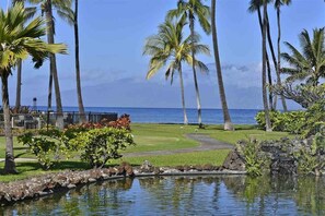 Condo, 1 habitación | Áreas de la propiedad