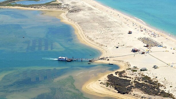 Vista aerea di una zona costiera con spiaggia, molo e barche.
